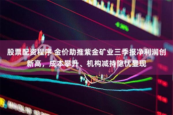 股票配资程序 金价助推紫金矿业三季报净利润创新高,成本攀升、机构减持隐忧显现