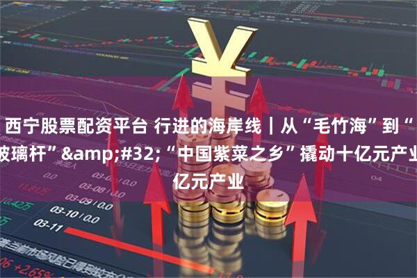 西宁股票配资平台 行进的海岸线|从“毛竹海”到“玻璃杆” “中国紫菜之乡”撬动十亿元产业