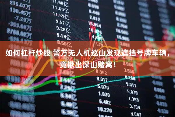 如何杠杆炒股 警方无人机巡山发现遮挡号牌车辆，竟揪出深山赌窝！
